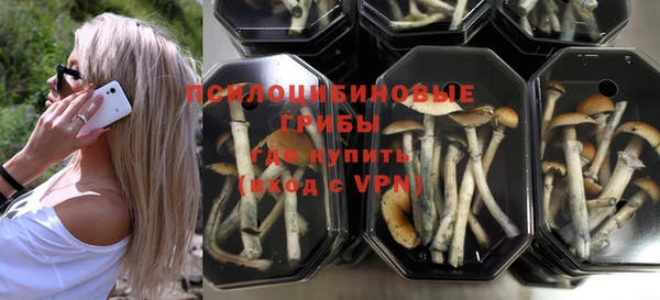 ГАЛЛЮЦИНОГЕННЫЕ ГРИБЫ Белокуриха