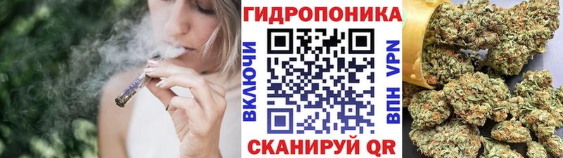 цены наркотик  Ковылкино  Шишки марихуана план 